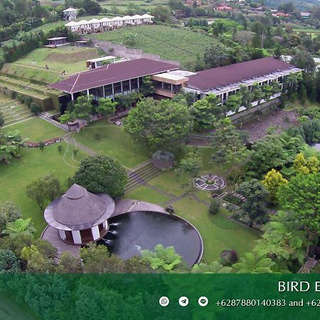 Amaryllis Boutique Resort Paragajen Εξωτερικό φωτογραφία