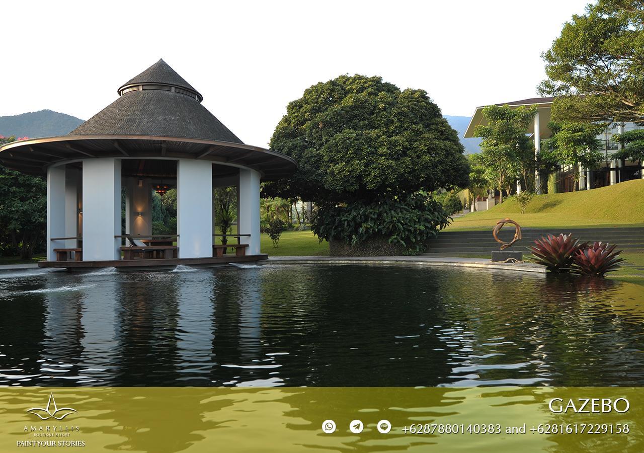 Amaryllis Boutique Resort Paragajen Εξωτερικό φωτογραφία